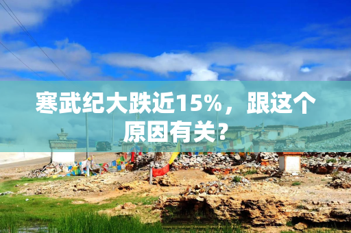 寒武纪大跌近15%，跟这个原因有关？