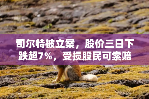 司尔特被立案，股价三日下跌超7%，受损股民可索赔