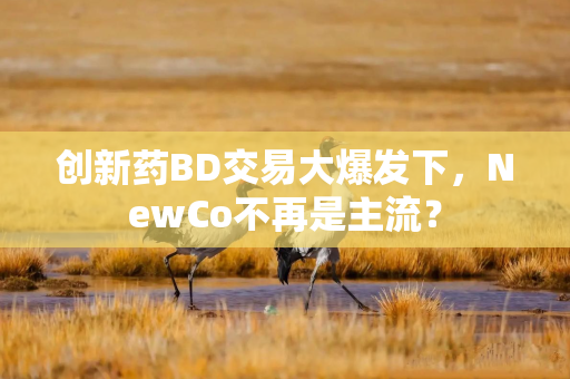 创新药BD交易大爆发下，NewCo不再是主流？