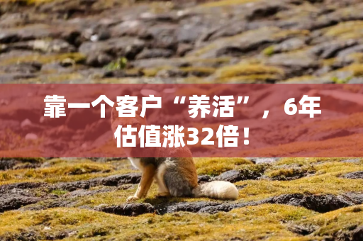 靠一个客户“养活”，6年估值涨32倍！