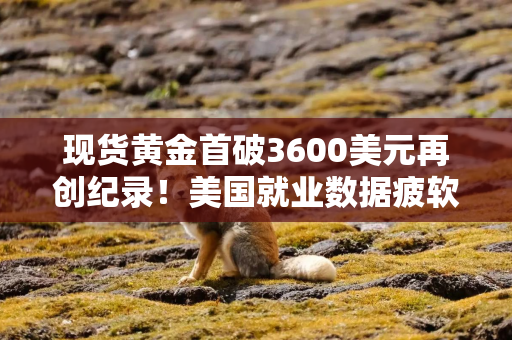 现货黄金首破3600美元再创纪录！美国就业数据疲软强化降息预期