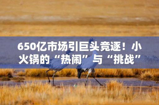 650亿市场引巨头竞逐！小火锅的“热闹”与“挑战”，都在这了