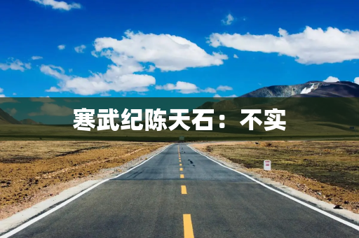 寒武纪陈天石：不实