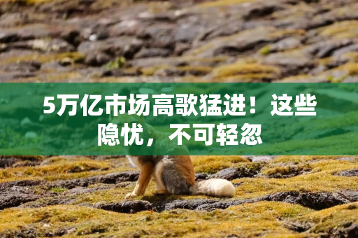 5万亿市场高歌猛进！这些隐忧，不可轻忽
