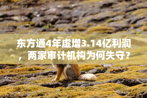 东方通4年虚增3.14亿利润，两家审计机构为何失守？