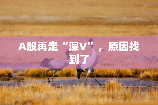 A股再走“深V”，原因找到了