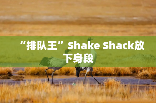 “排队王”Shake Shack放下身段