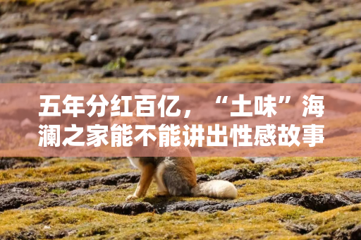 五年分红百亿，“土味”海澜之家能不能讲出性感故事？