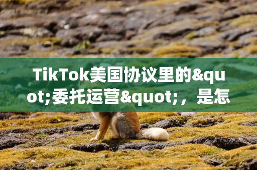 TikTok美国协议里的"委托运营"，是怎么回事？
