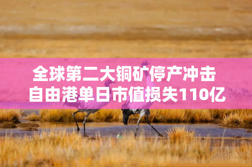 全球第二大铜矿停产冲击 自由港单日市值损失110亿美元
