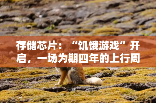 存储芯片：“饥饿游戏”开启，一场为期四年的上行周期