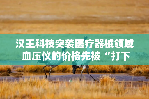 汉王科技突袭医疗器械领域 血压仪的价格先被“打下来”了！