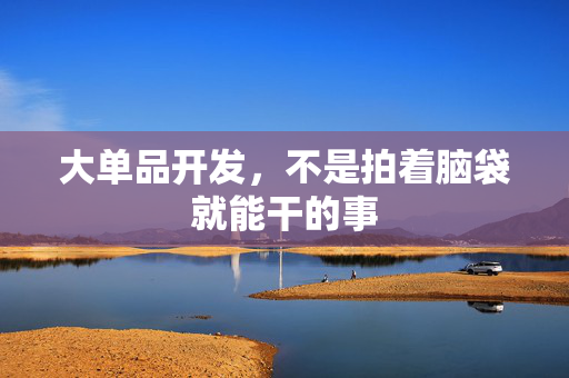 大单品开发，不是拍着脑袋就能干的事