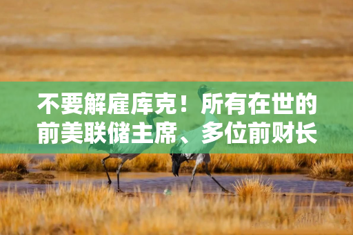 不要解雇库克！所有在世的前美联储主席、多位前财长和前白宫经济顾问致函最高法
