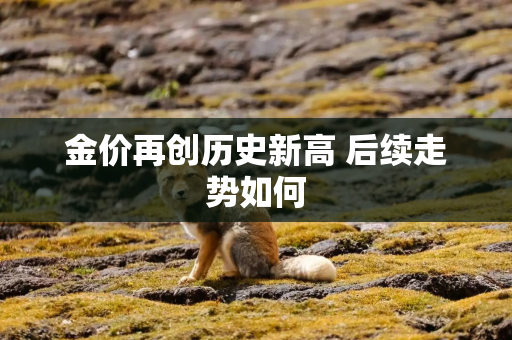 金价再创历史新高 后续走势如何