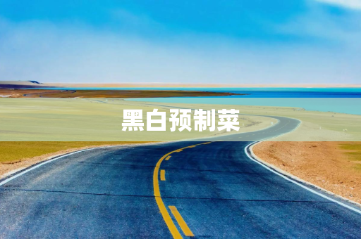 黑白预制菜