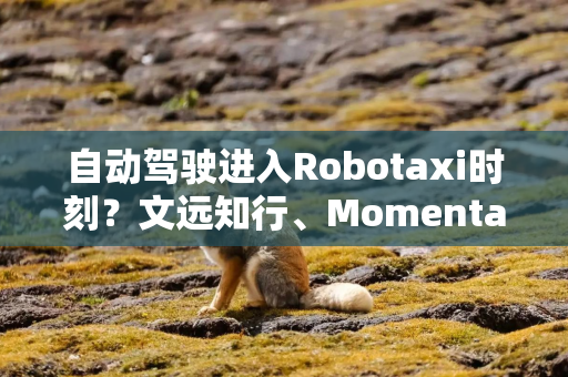 自动驾驶进入Robotaxi时刻？文远知行、Momenta后，地平线联手哈啰也来了！