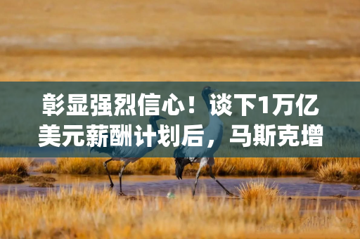 彰显强烈信心！谈下1万亿美元薪酬计划后，马斯克增持10亿美元特斯拉(TSLA.US)