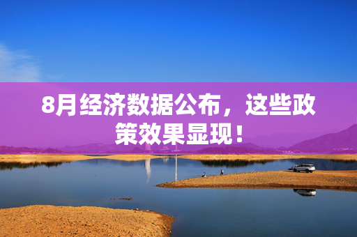 8月经济数据公布，这些政策效果显现！