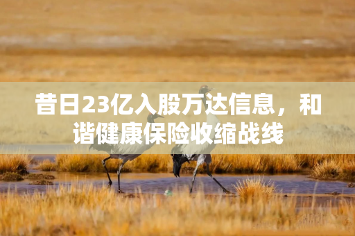 昔日23亿入股万达信息，和谐健康保险收缩战线