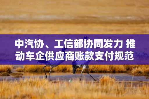 中汽协、工信部协同发力 推动车企供应商账款支付规范走深走实
