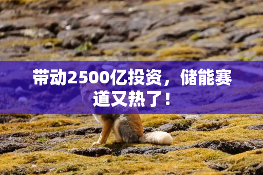 带动2500亿投资，储能赛道又热了！