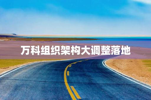万科组织架构大调整落地