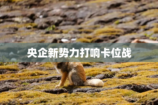 央企新势力打响卡位战