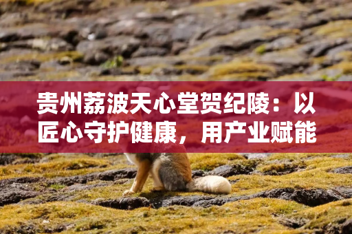 贵州荔波天心堂贺纪陵：以匠心守护健康，用产业赋能乡村