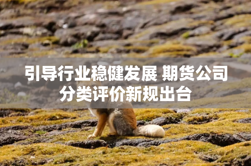 引导行业稳健发展 期货公司分类评价新规出台