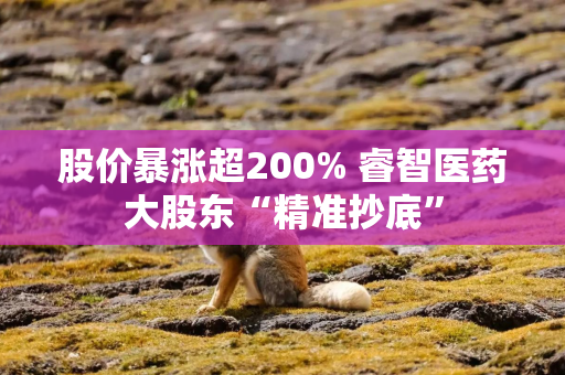 股价暴涨超200% 睿智医药大股东“精准抄底”