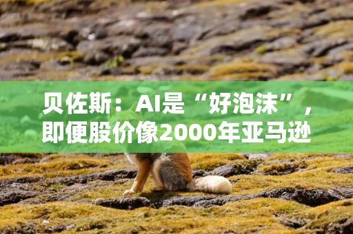 贝佐斯：AI是“好泡沫”，即便股价像2000年亚马逊那样暴跌，对社会也是好事