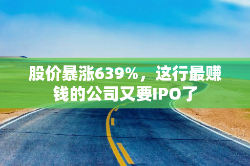 股价暴涨639%，这行最赚钱的公司又要IPO了