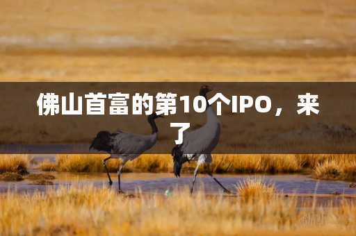 佛山首富的第10个IPO，来了