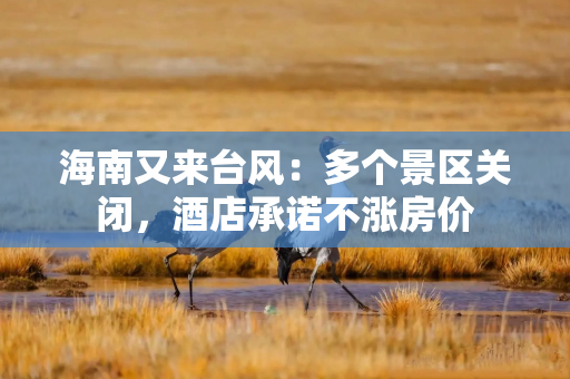 海南又来台风：多个景区关闭，酒店承诺不涨房价