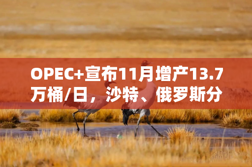 OPEC+宣布11月增产13.7万桶/日，沙特、俄罗斯分歧后达成妥协