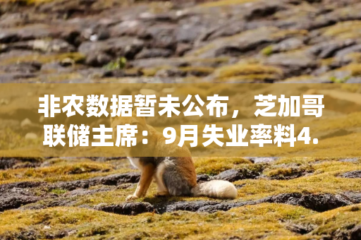 非农数据暂未公布，芝加哥联储主席：9月失业率料4.3%，劳动力市场稳定