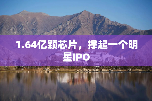 1.64亿颗芯片，撑起一个明星IPO