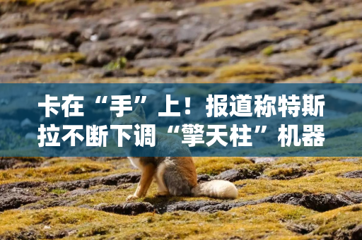 卡在“手”上！报道称特斯拉不断下调“擎天柱”机器人产量目标，夏天已降至2000台