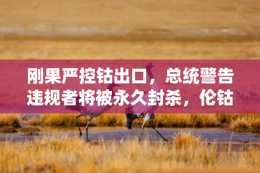 刚果严控钴出口，总统警告违规者将被永久封杀，伦钴价两日飙升逾11%