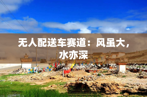 无人配送车赛道：风虽大，水亦深