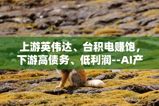 上游英伟达、台积电赚饱，下游高债务、低利润--AI产业链的现状