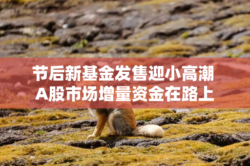 节后新基金发售迎小高潮 A股市场增量资金在路上