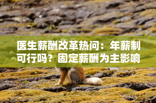医生薪酬改革热问：年薪制可行吗？固定薪酬为主影响激励吗？