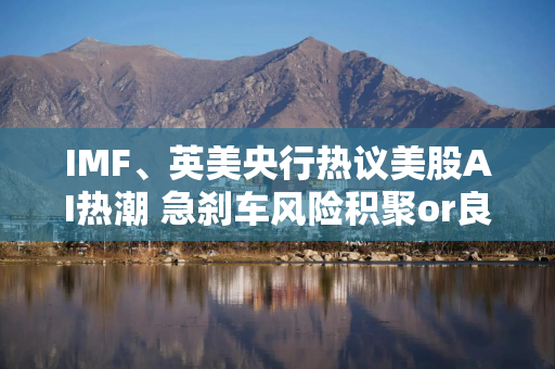 IMF、英美央行热议美股AI热潮 急刹车风险积聚or良性泡沫？