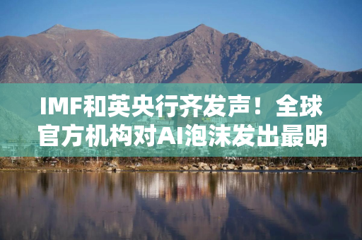 IMF和英央行齐发声！全球官方机构对AI泡沫发出最明确警告