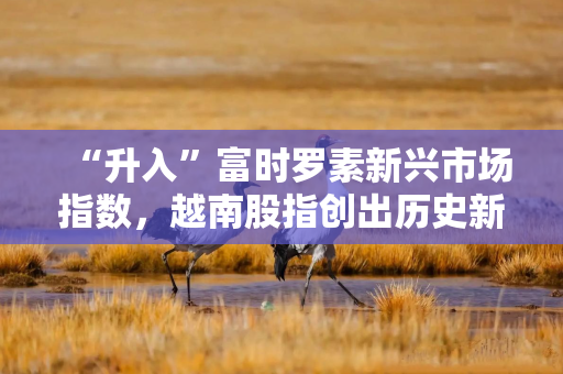 “升入”富时罗素新兴市场指数，越南股指创出历史新高