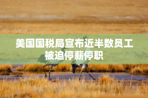 美国国税局宣布近半数员工被迫停薪停职