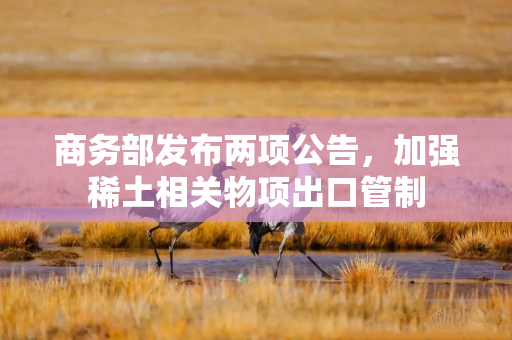 商务部发布两项公告，加强稀土相关物项出口管制