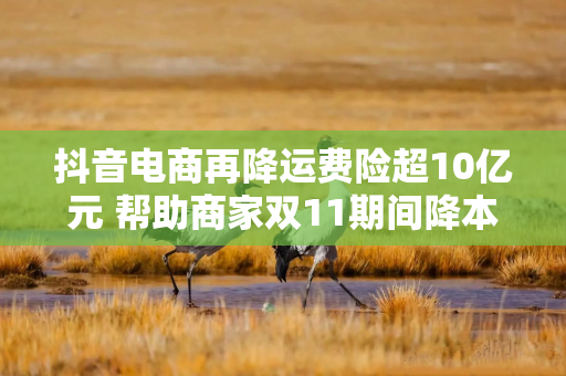 抖音电商再降运费险超10亿元 帮助商家双11期间降本增效